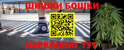 гидропоника Новозыбков