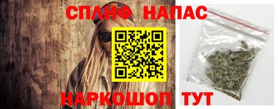 сатива Обнинск