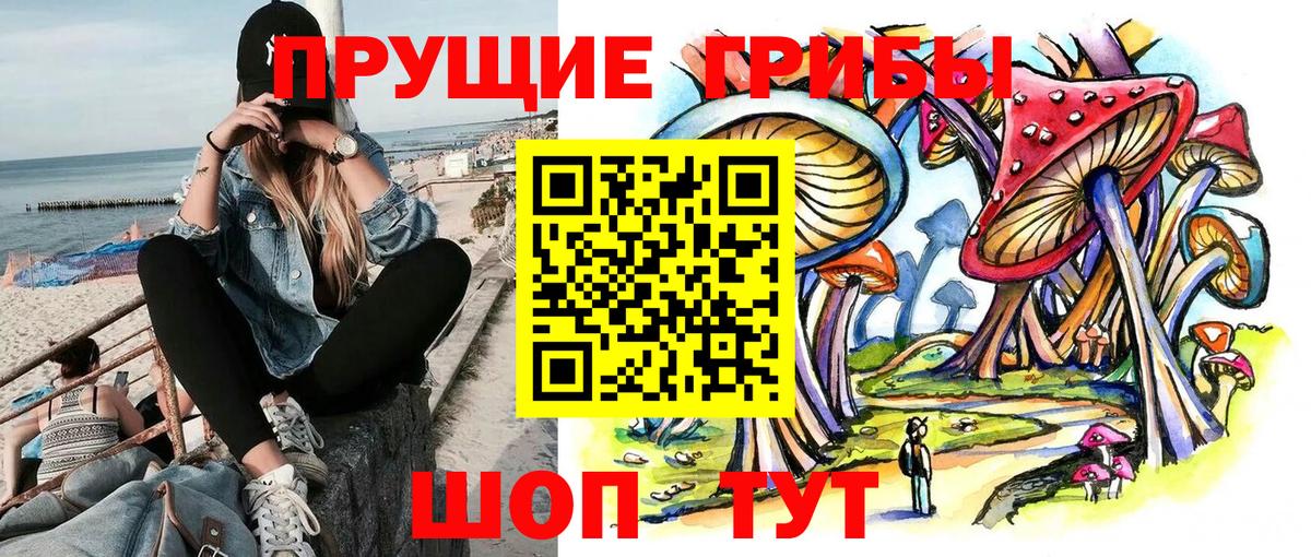 Галлюциногенные грибы прущие грибы  Галлюциногенные грибы MAGIC MUSHROOMS  Вход с VPN  Новоалтайск 