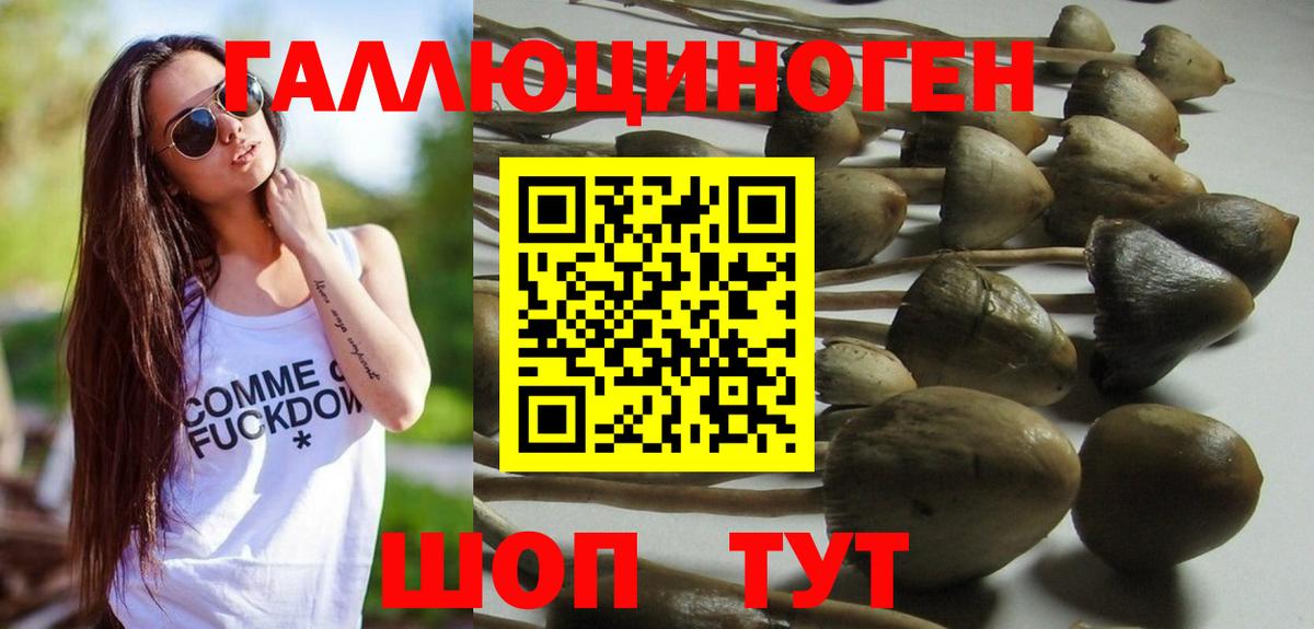 ГАШИШ  МАРИХУАНА  Кокаин  Меф кристаллы  Вход с VPN  Новоалтайск  Сколько стоит 