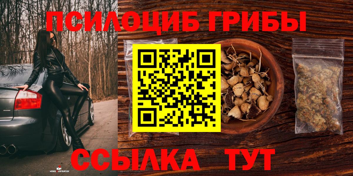 Псилоцибиновые грибы мицелий Новоалтайск