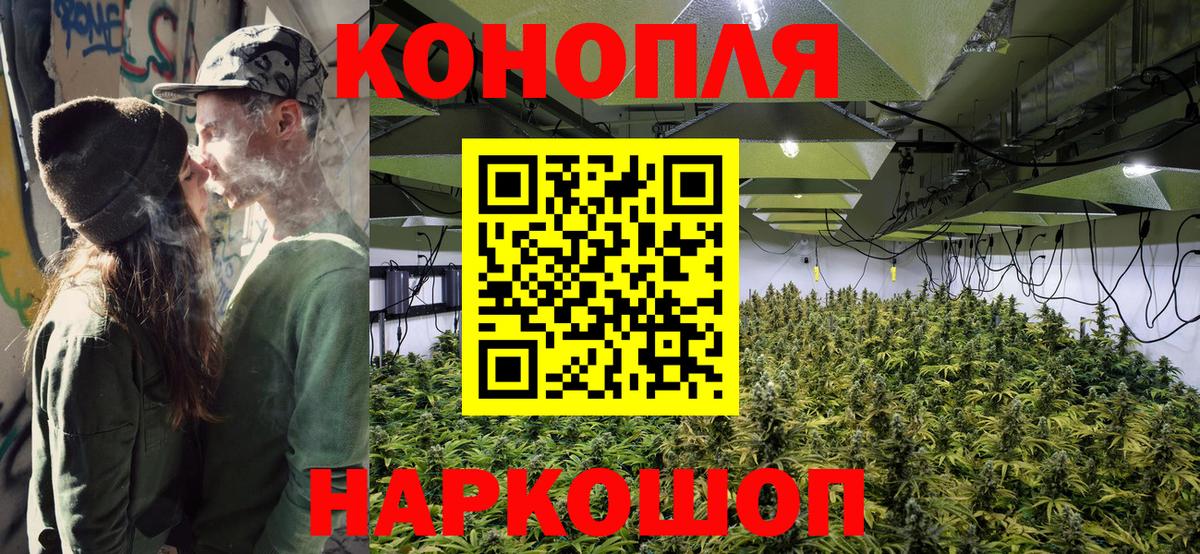 Конопля марихуана Новоалтайск
